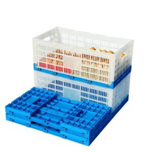 Huevera plegable de 630*330*257 mm